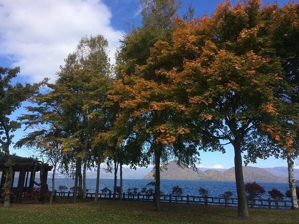 湖畔沿いから眺める紅葉が見ものだ/洞爺湖周辺の紅葉 画像提供：一般社団法人 洞爺湖温泉観光協会