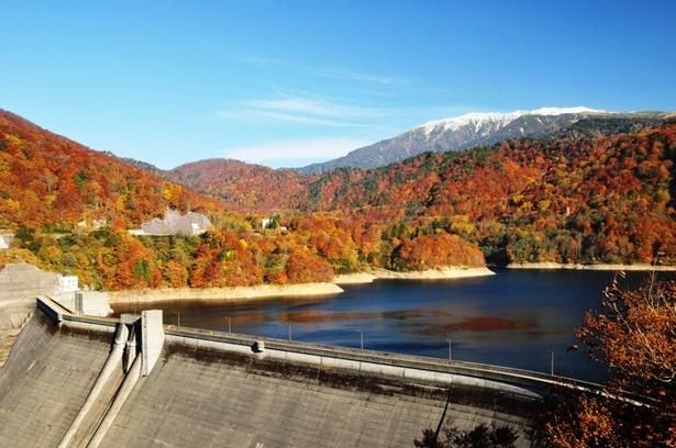 有峰湖を囲む紅葉と冠雪する薬師岳/有峰森林文化村(有峰森林文化公園)の紅葉 画像提供：有峰森林文化村
