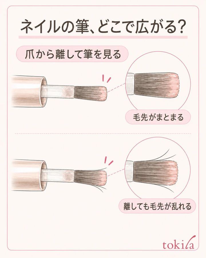 筆を離したときの形と、爪へ置いたときの広がりを分けて見ます。