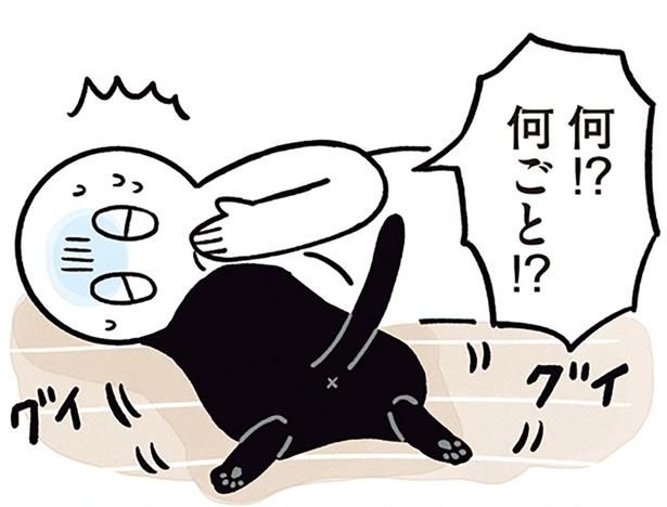 何ごと！？ （C）AKR／KADOKAWA