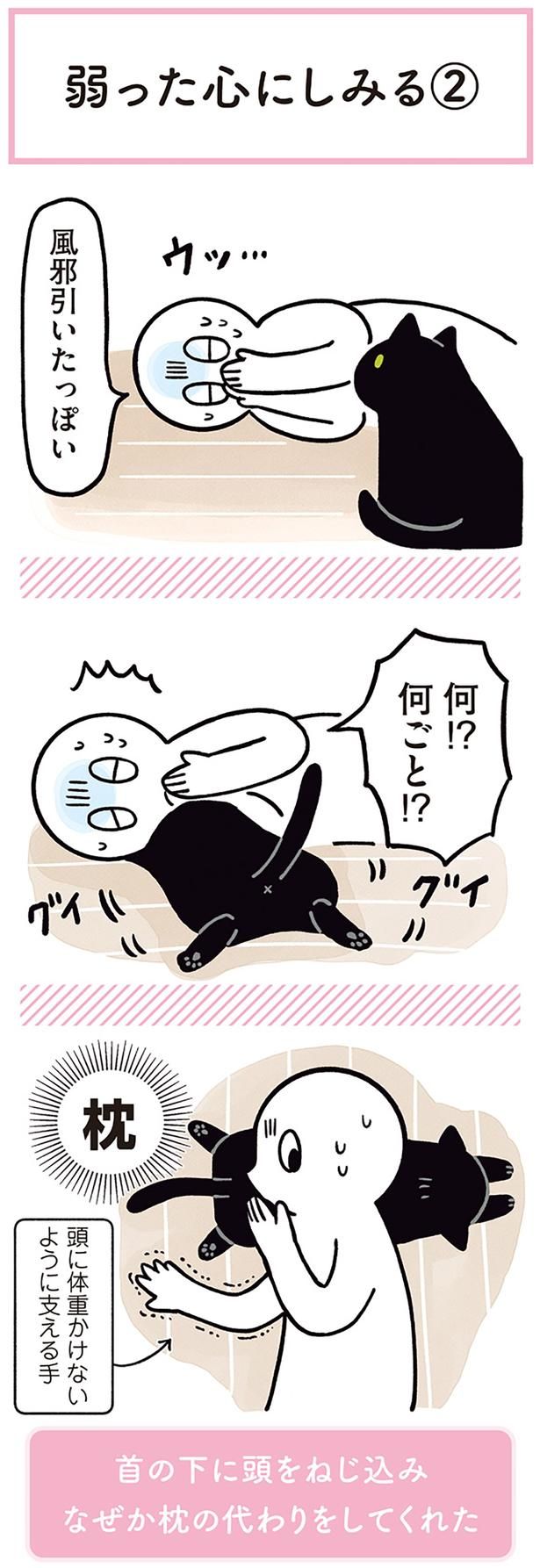 風邪引いたっぽい （C）AKR／KADOKAWA