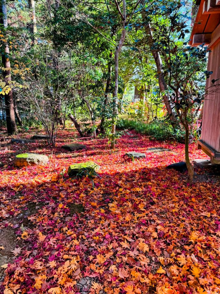 上賀茂神社