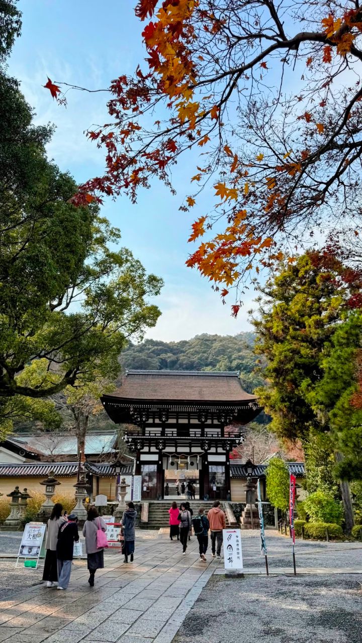 松尾大社門前：2025年12月初旬