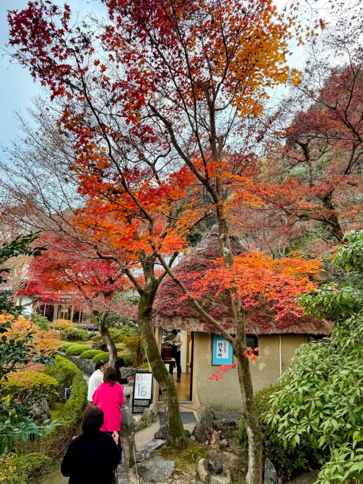 鈴虫寺（華厳寺）