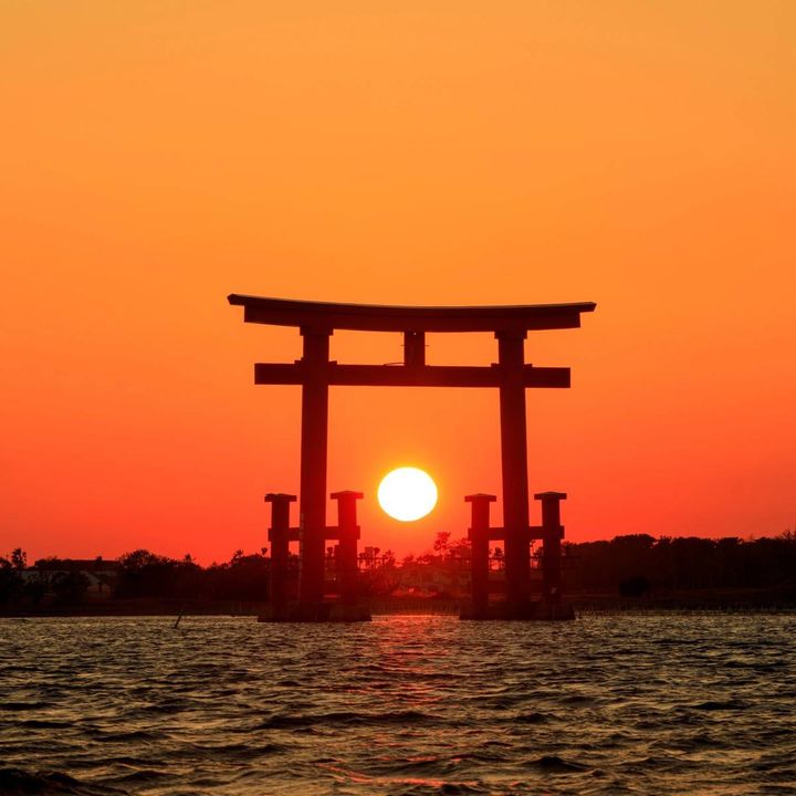 鳥居と夕日