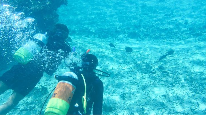 小浜島の透き通る海で体験ダイビングを楽しむダイバー 