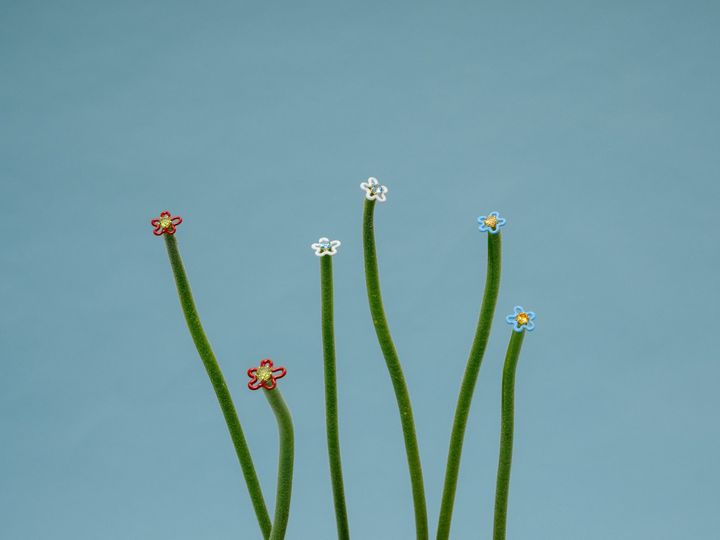 ベア・ボンジャスカ「4everflower」 茎の先に添えられた花モチーフのジュエリー