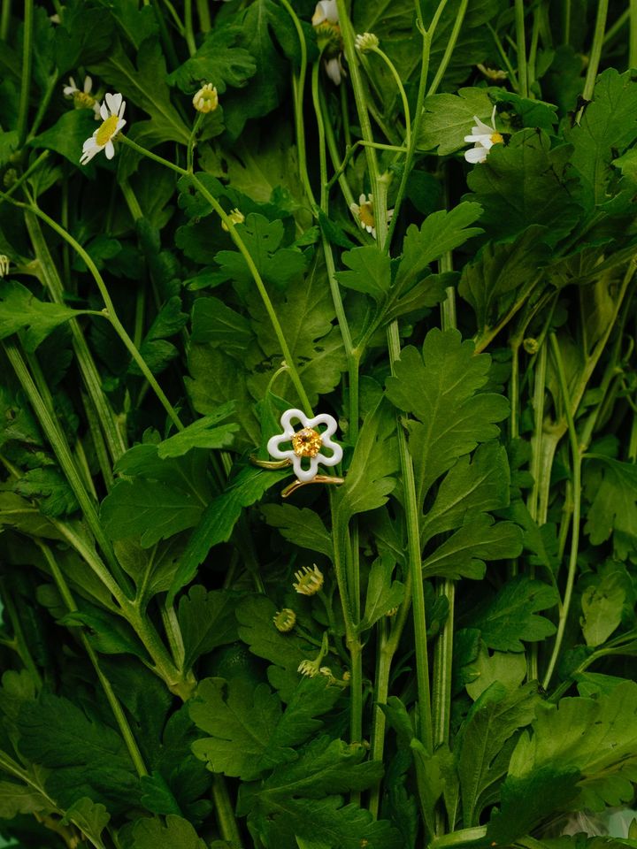 ベア・ボンジャスカ「4everflower」 草花の中に置かれたジュエリー