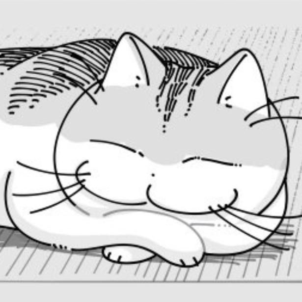 リビングで気持ちよく寝る猫 画像提供：キュルZ@kyuryuZ