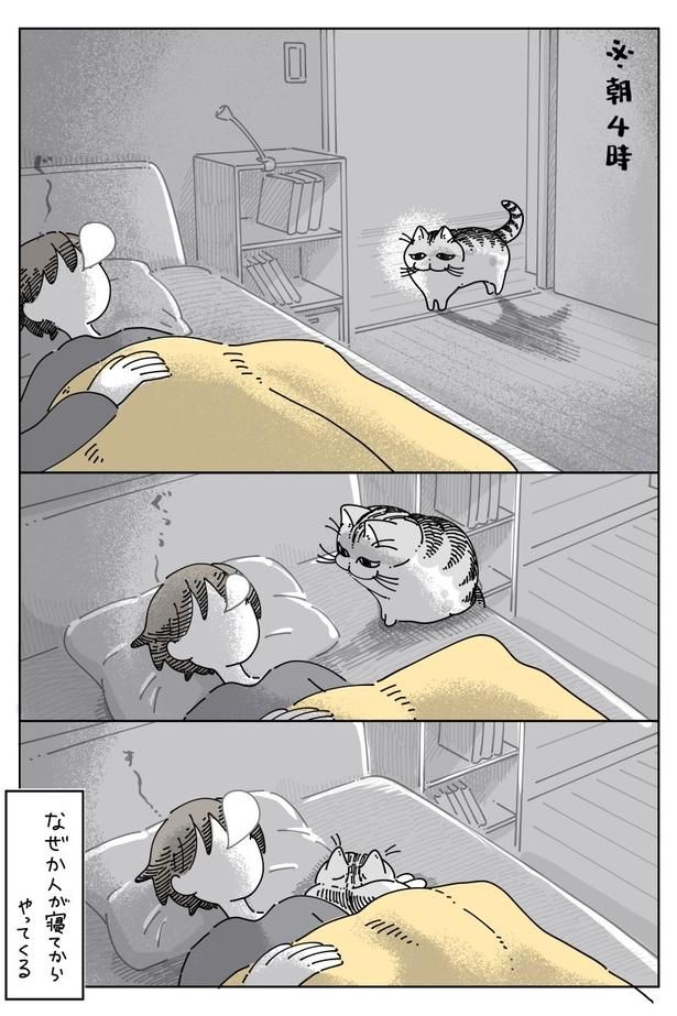 03 画像提供：キュルZ@kyuryuZ