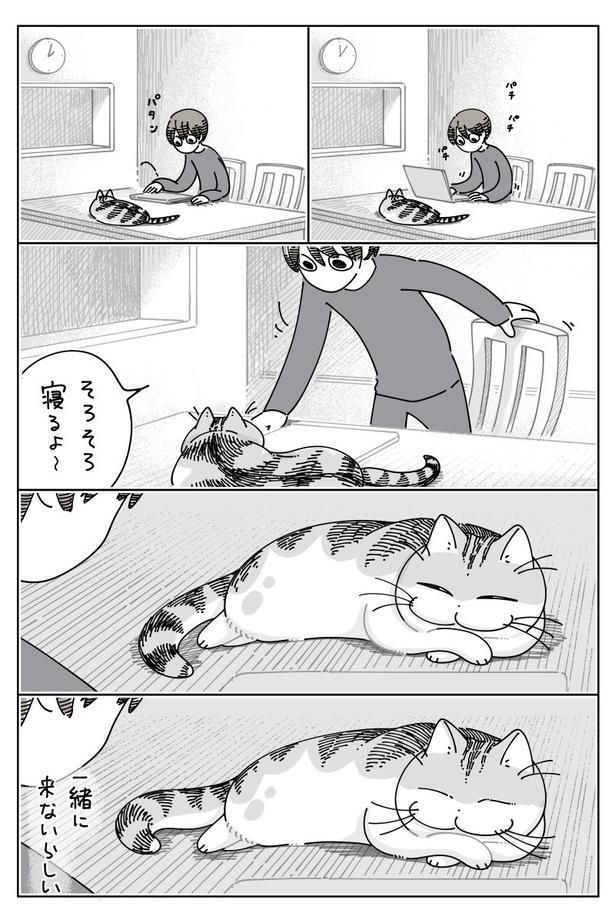 『時間差到着』01 画像提供：キュルZ@kyuryuZ