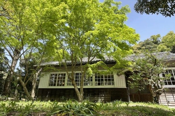 島の診療所だった建物を改築 画像提供：杜のカフェ テン(morinocafe@ten)