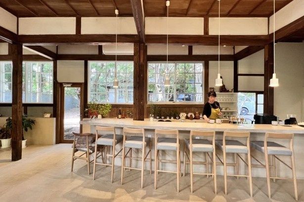 占いの鑑定料は30分程度で5000円。公式InstagramのDMから要予約 画像提供：杜のカフェ テン(morinocafe@ten)