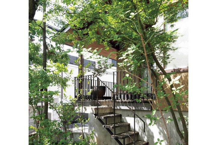 コナラとヤマモミジでつくる小さな林のような庭：東京都目黒区の「雑木の庭」実例