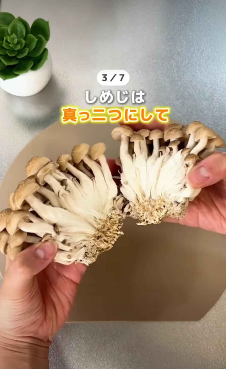 画像3: 出典：Instagram
