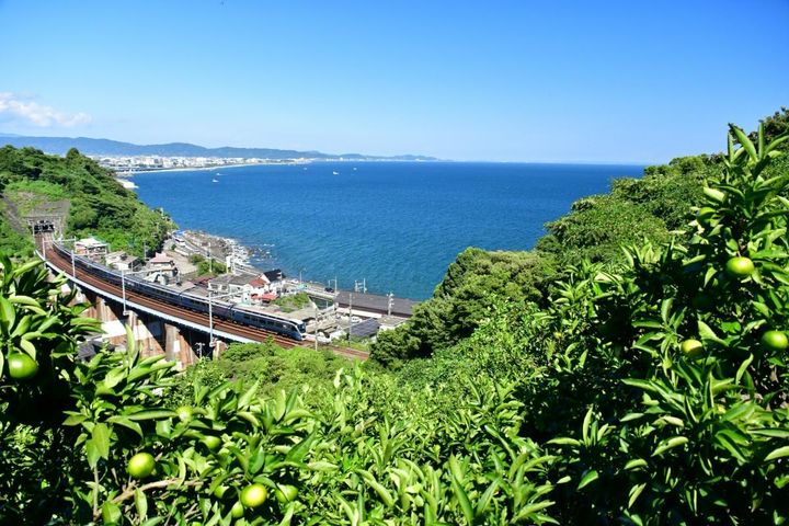 踊り子で熱海観光