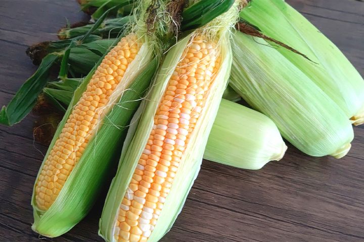 トウモロコシの豆知識、リンガーハットが紹介♪