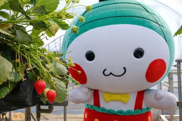 栃木県真岡市のイメージキャラクター「もおかぴょん」の新衣装を作りたい！ふるさと納税型のクラファン開始