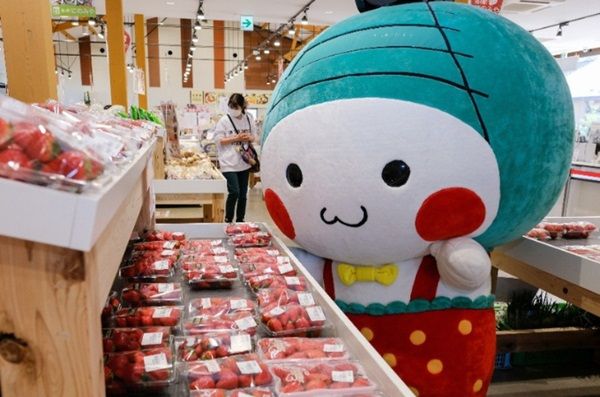 栃木県真岡市のイメージキャラクター「もおかぴょん」の新衣装を作りたい！ふるさと納税型のクラファン開始