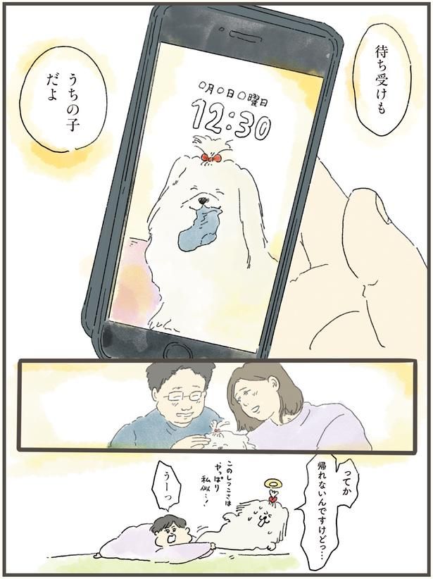 待ち受けもうちの子だよ （C）中山有香里／KADOKAWA