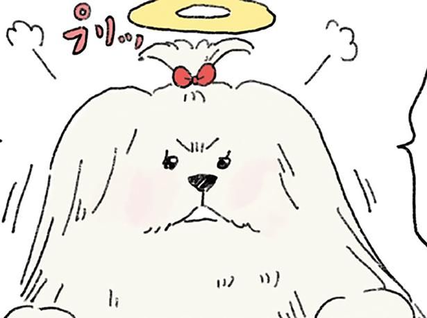  下界に行けるだなんて知らなかったんですけどっ （C）中山有香里／KADOKAWA