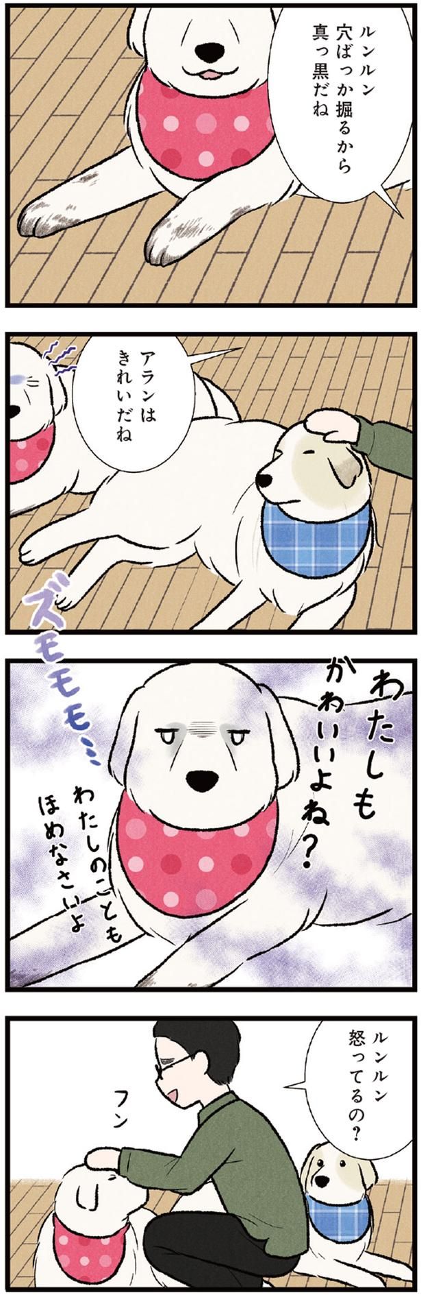 褒められたい （C）今日のルンルン、黒羽沙乃／KADOKAWA