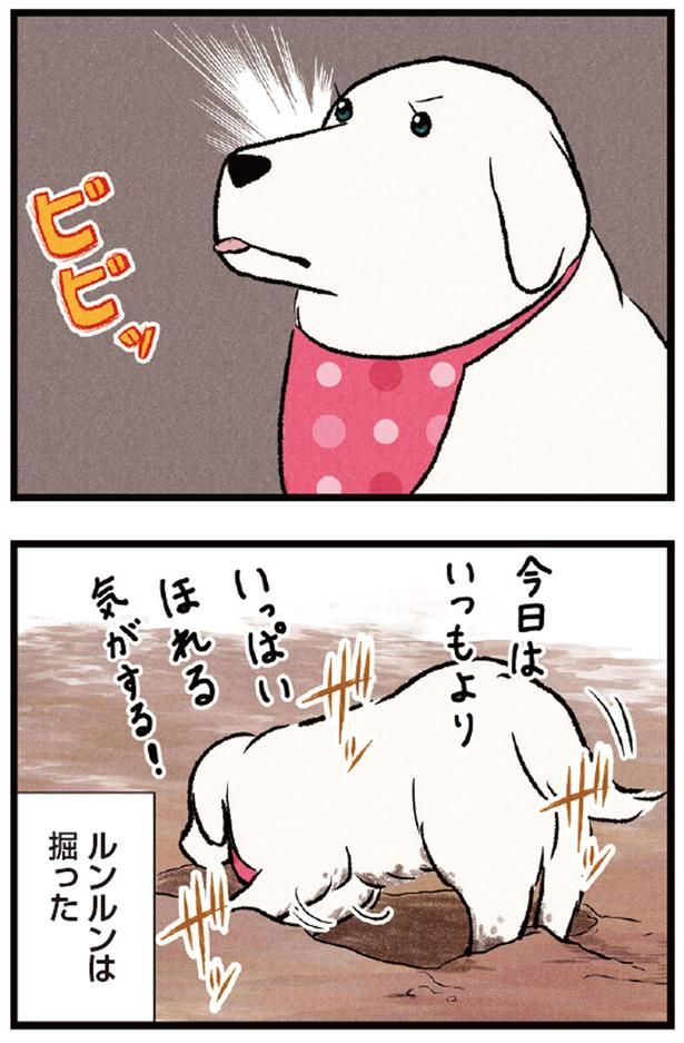 穴掘り職人・ルンルン （C）今日のルンルン、黒羽沙乃／KADOKAWA