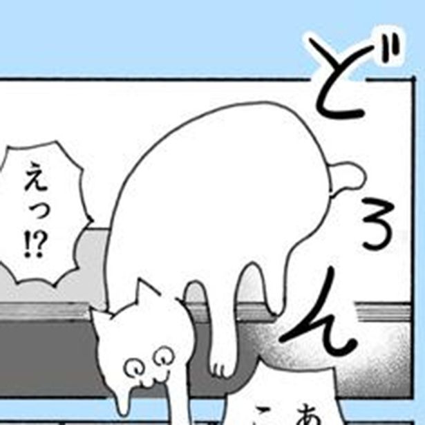 自販機で水を買ったら猫が出てきた 作：林場琉賀