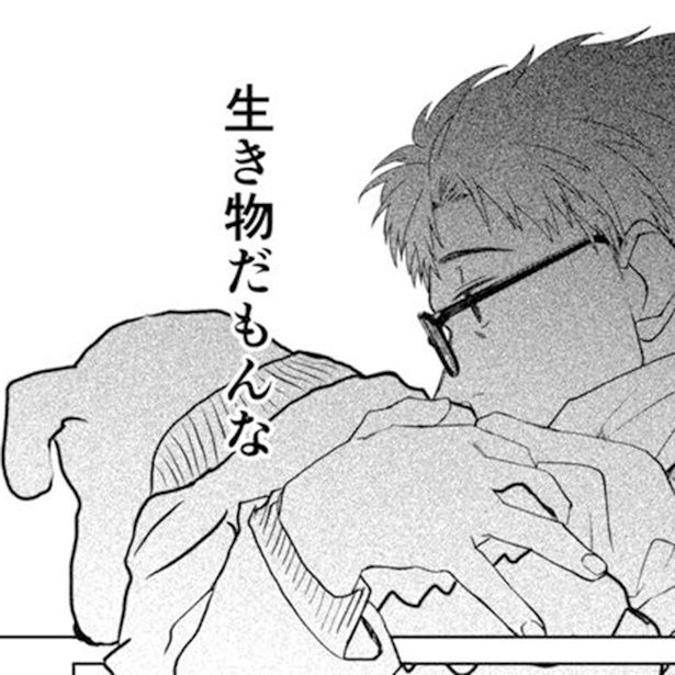 愛犬の老いに直面する話 画像提供：あみだむくさん