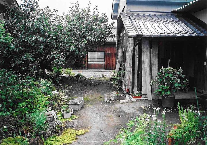 庭
