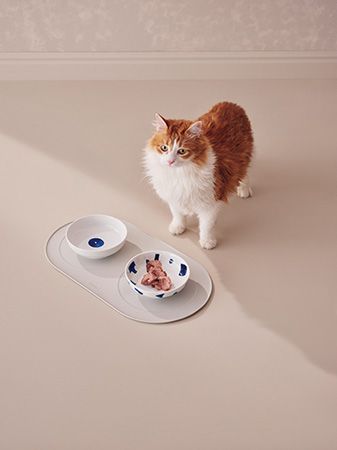 ペットのニーズも尊重！ALESSIより新シリーズ「Itsumo Pet Yunoki Ware」 登場