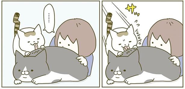 サッ （C）卵山玉子／KADOKAWA