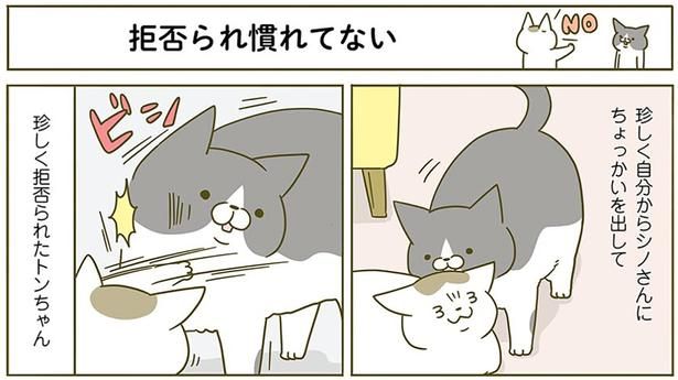 拒否られ慣れてない （C）卵山玉子／KADOKAWA