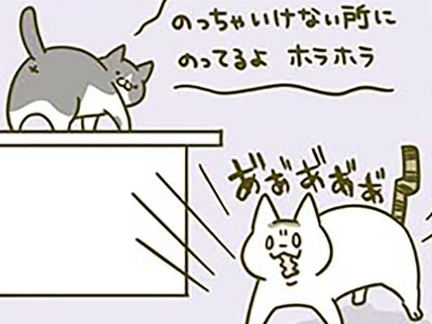 「構えアピール」 （C）卵山玉子／KADOKAWA