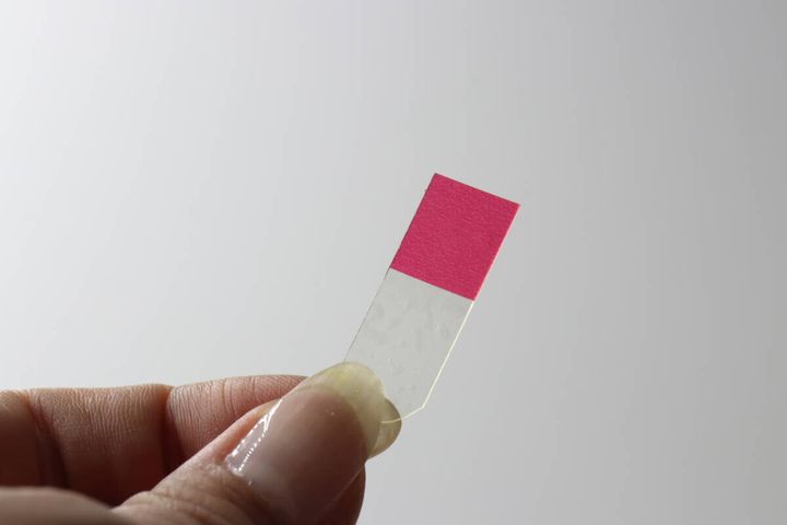 女性の指が、はくりフィルム付きの透明な伸びるテープを一枚つまんでいる