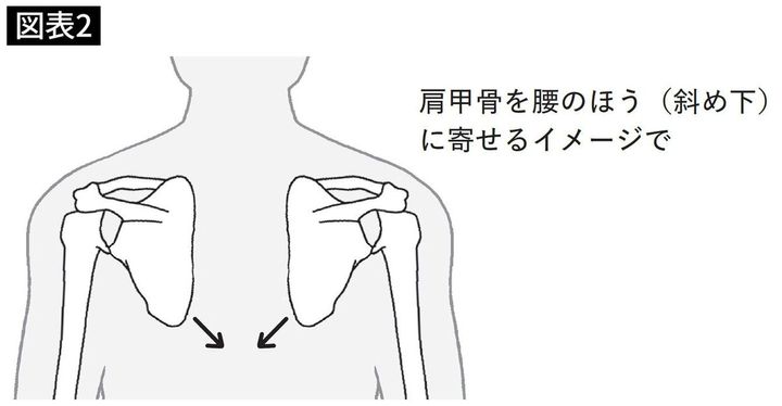 肩甲骨を腰の方に寄せるイメージ