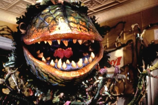 【写真を見る】動物から植物まで、人間を食べることが大好きな映画のモンスターが大集合！(『リトルショップ・オブ・ホラーズ』) [c]Everett Collection/AFLO
