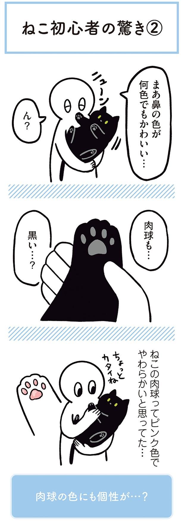 肉球も…黒い…？ （C）AKR／KADOKAWA