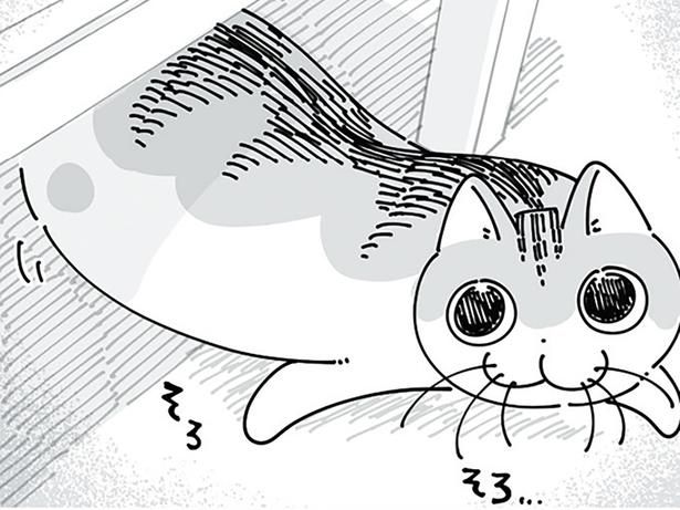 駆けつけると… （C）キュルZ／KADOKAWA