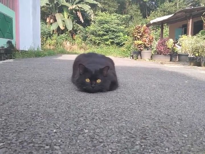 まさにハンターの顔つき……