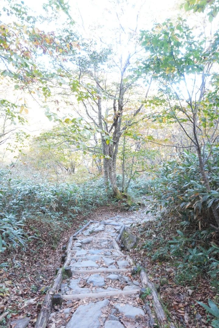 【尾瀬ハイキング】平地だけじゃなかった！初心者が紅葉シーズンに6時間歩いてみた_7