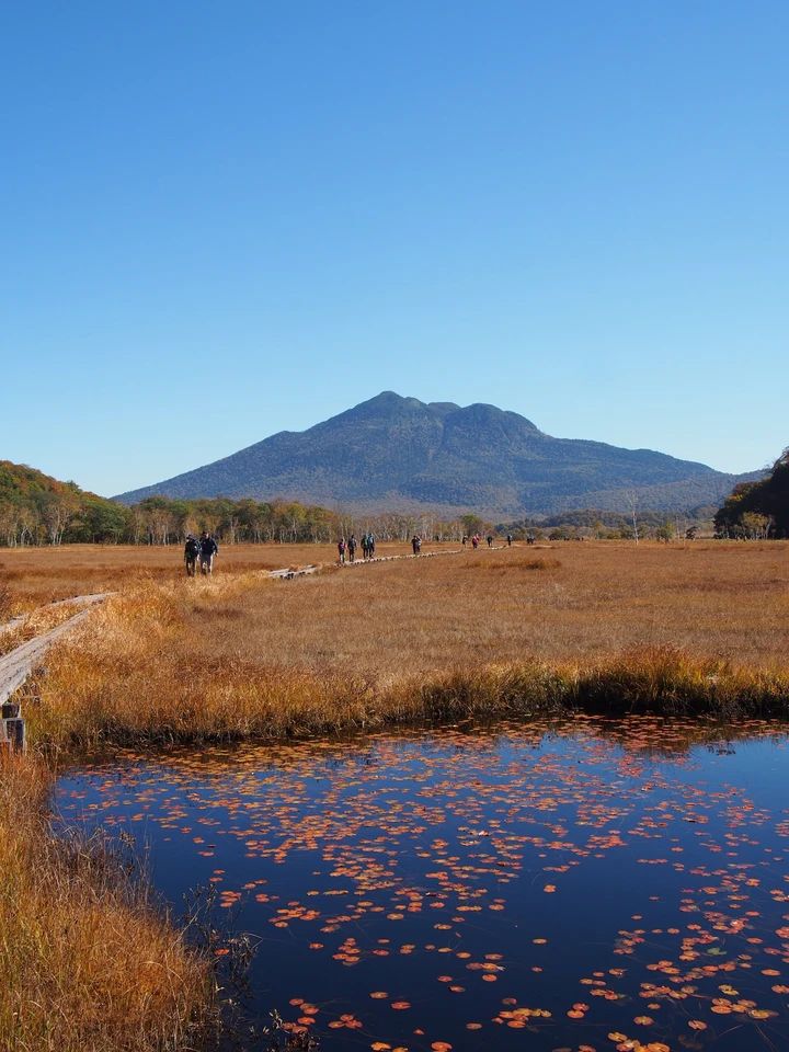 【尾瀬ハイキング】平地だけじゃなかった！初心者が紅葉シーズンに6時間歩いてみた_13
