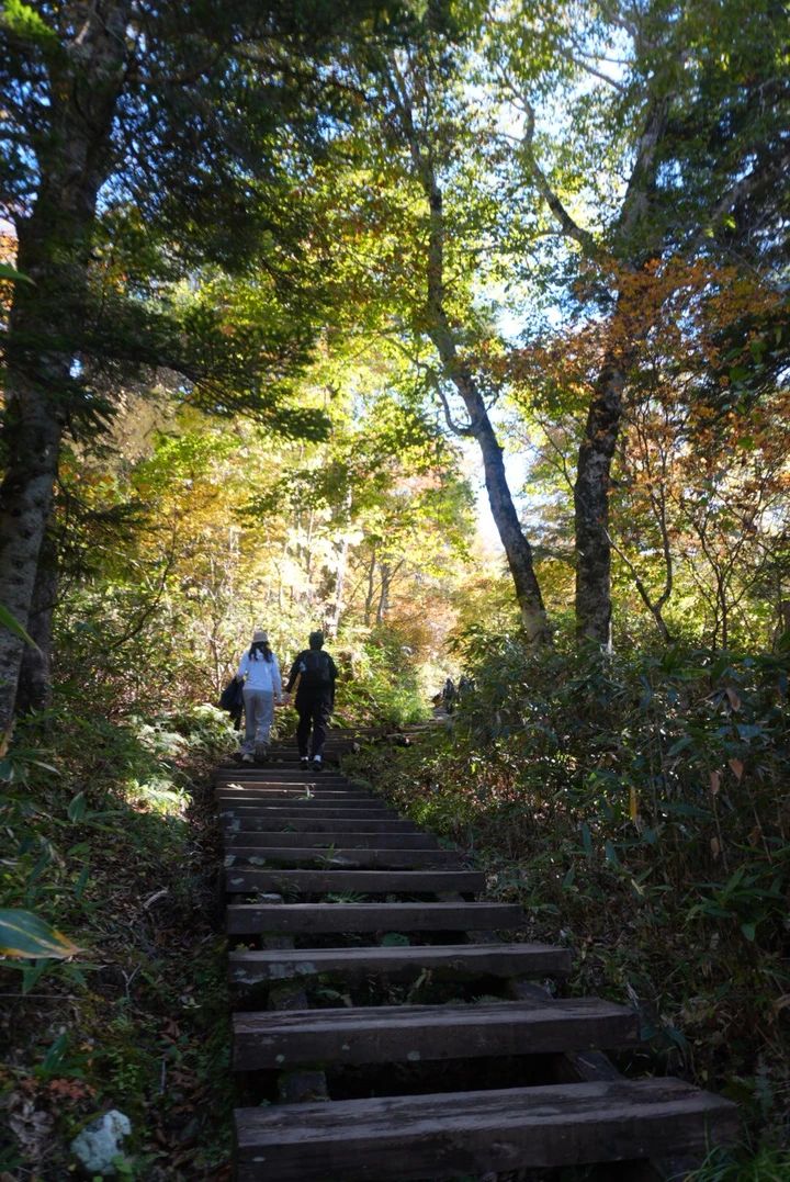 【尾瀬ハイキング】平地だけじゃなかった！初心者が紅葉シーズンに6時間歩いてみた_6
