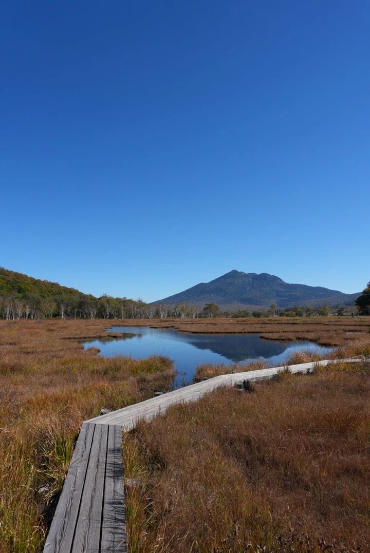 【尾瀬ハイキング】平地だけじゃなかった！初心者が紅葉シーズンに6時間歩いてみた_15
