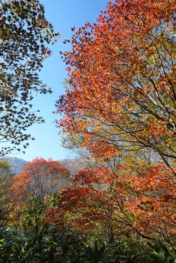 【尾瀬ハイキング】平地だけじゃなかった！初心者が紅葉シーズンに6時間歩いてみた_20