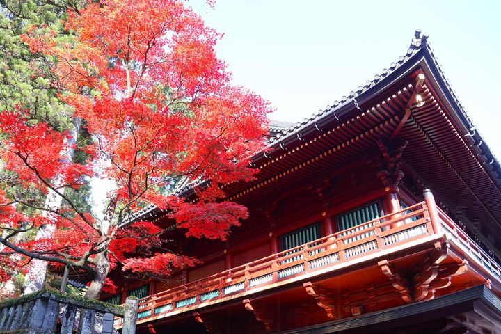 日光山輪王寺｜逍遥園ライトアップ
