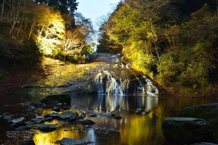 養老渓谷｜渓谷を彩る紅葉ライトアップ