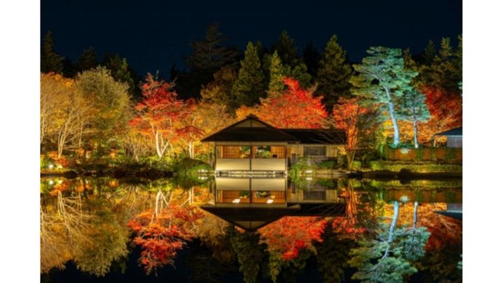 国営昭和記念公園公式サイトより引用
