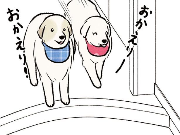 大好きなお父さんには熱烈なお出迎え！ 息子が帰宅した時の反応は？ （C）今日のルンルン、黒羽沙乃／KADOKAWA