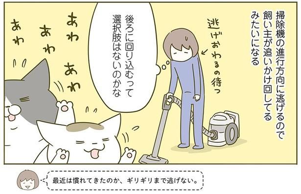 最近は慣れてきたのか… （C）卵山玉子／KADOKAWA